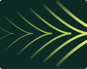 Image without alt