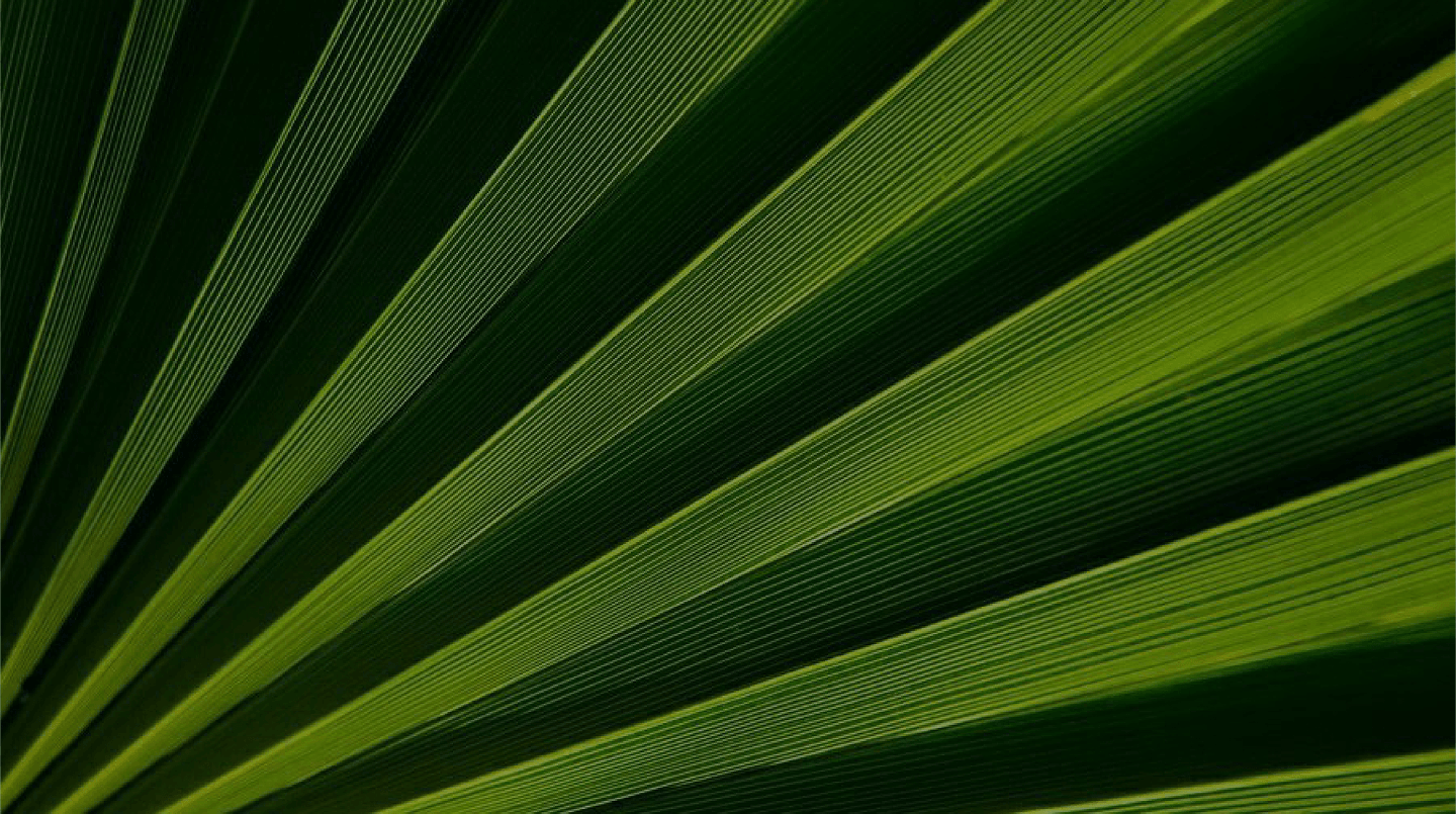 Image without alt