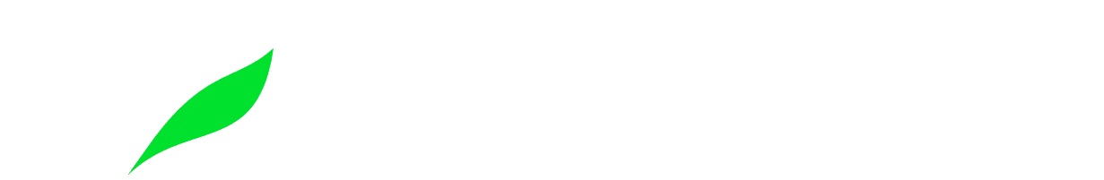 Image without alt