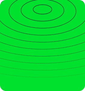 Image without alt